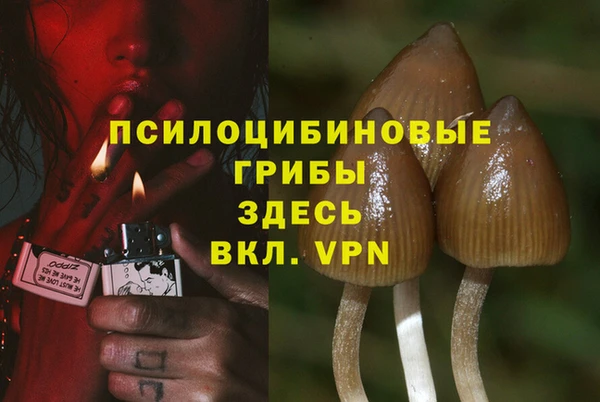 прущая мука Баксан
