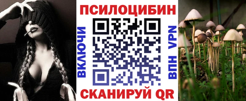 Псилоцибиновые грибы Cubensis  наркота  Усть-Джегута 